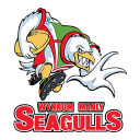 Wynnum Manly Seagulls