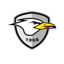 Tweed Seagulls